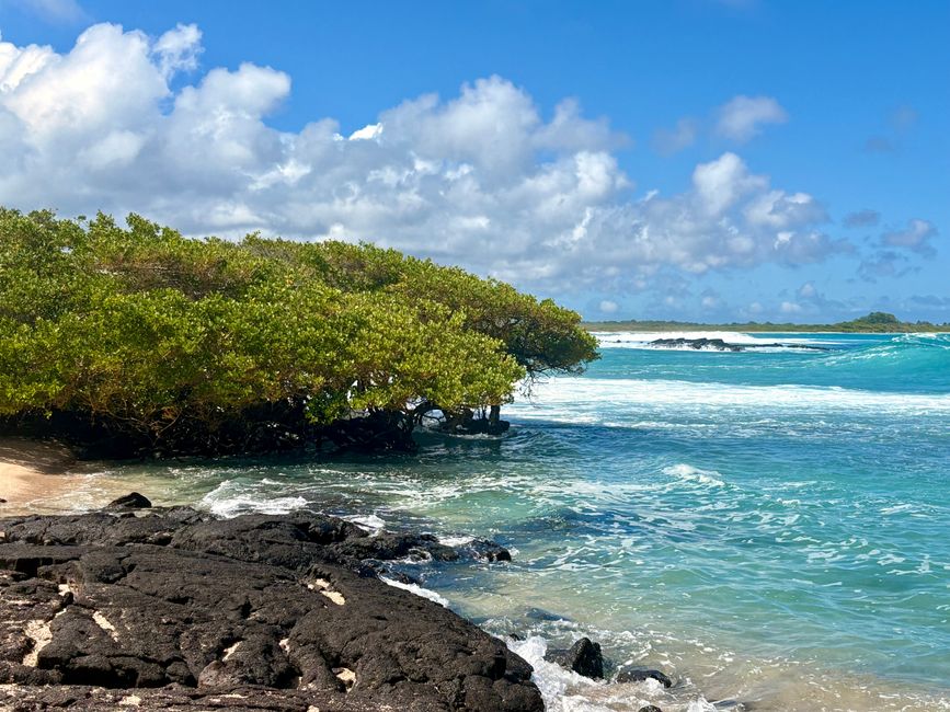 Isabela (Galápagos)
