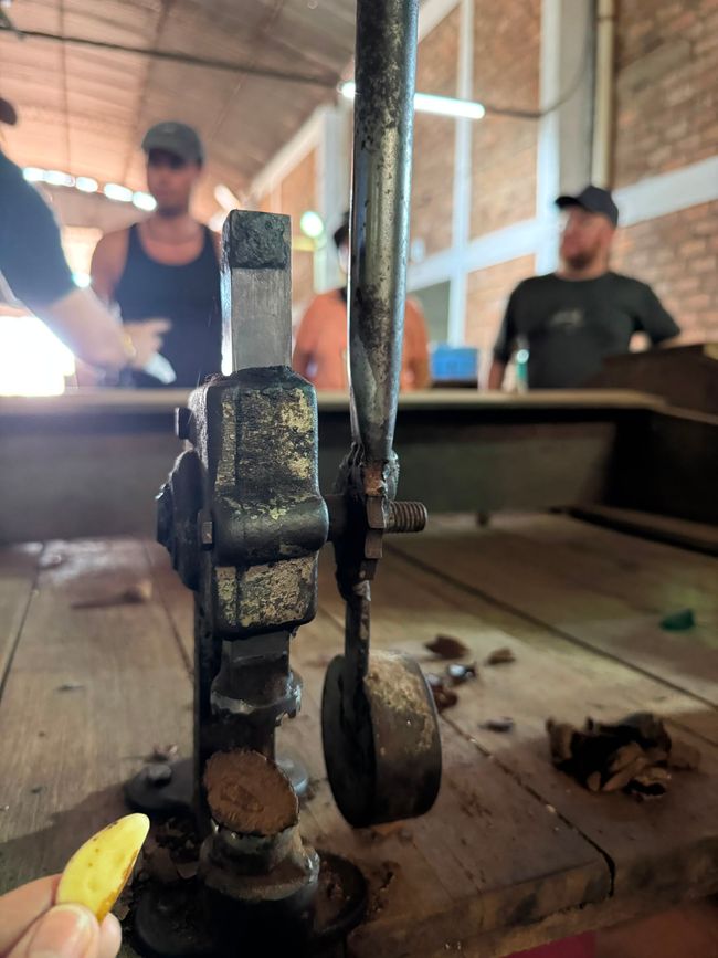 Noch mehr Bilder... Paranuss und der Weg nach Brasilien