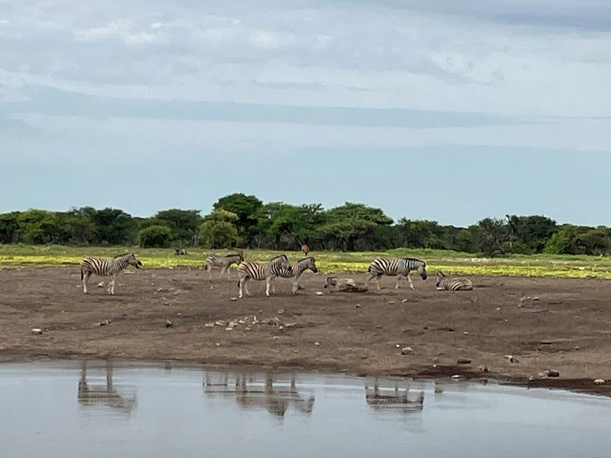 El Parque Nacional Etosha