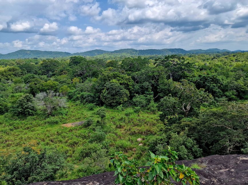 Hurulu Eco Park