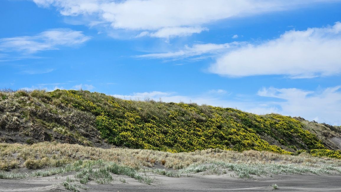 Ōtorohanga - Kawhia