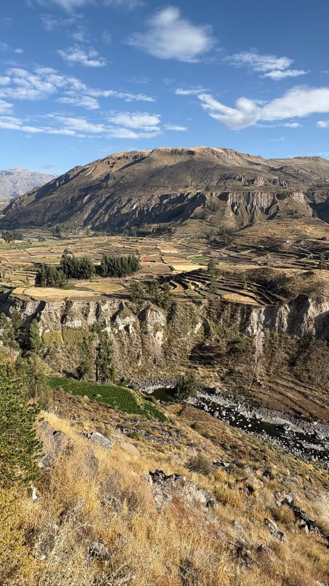 Perù_2025 - Giorno 9: Canyon del Colca e Croce del Condor