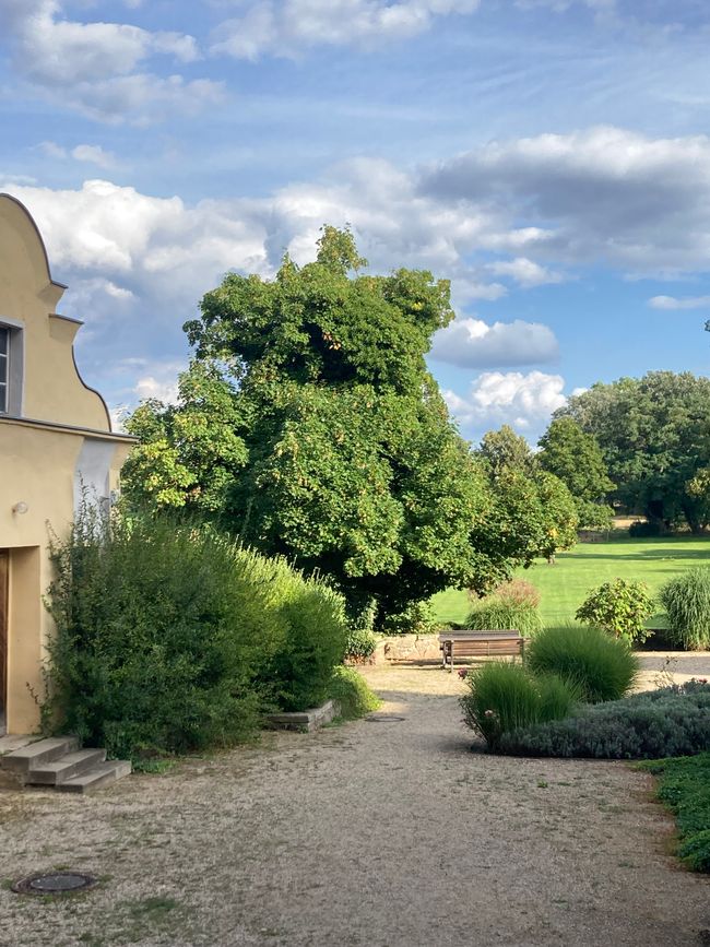 Schloß Gut Liebenberg-Storchenhof Blumenow