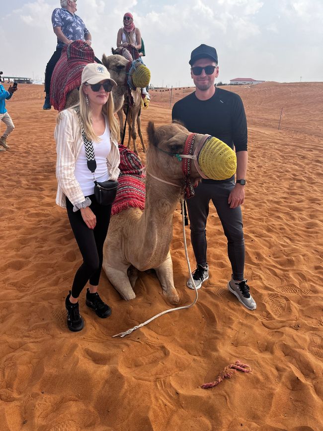 Tag 58 - Dubai - Desert-Tour - Quad - Kamel - Dune Bashing - Sandboarding