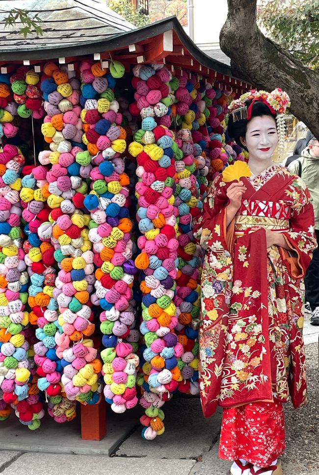 Maiko-Phototermin