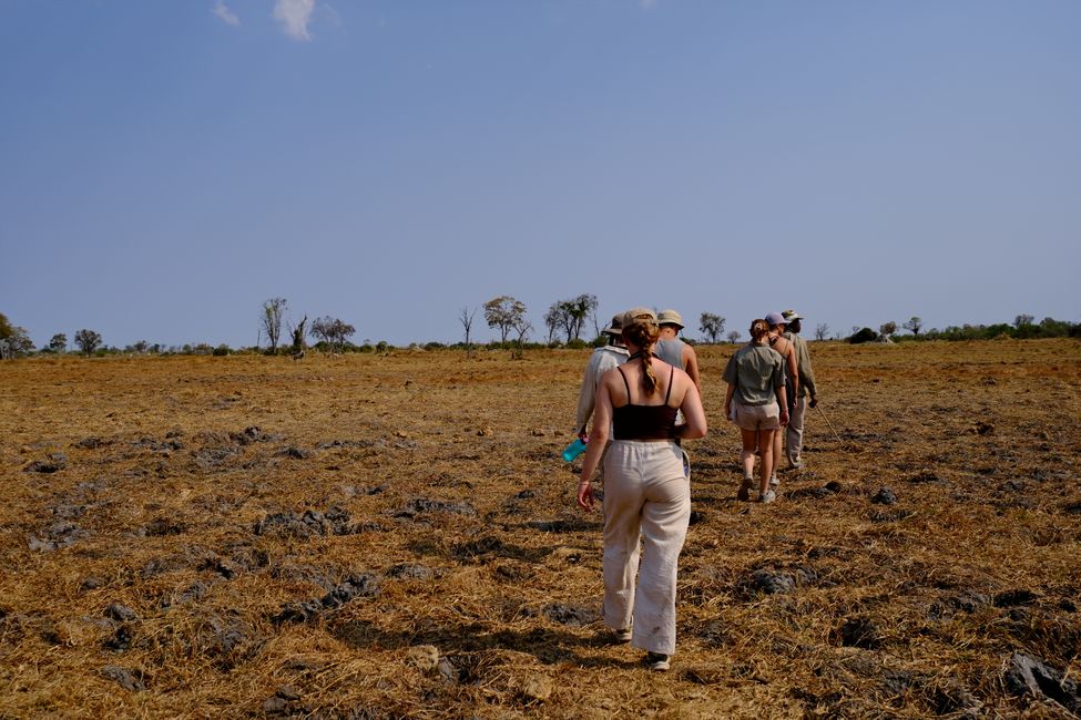 Delta del Okavango 🇧🇼