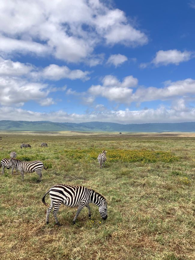 Il Cratere di Ngorongoro