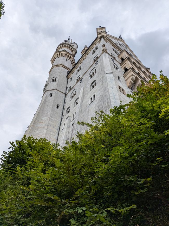 Forggensee 2026 - Neuschwanstein und Zugspitze