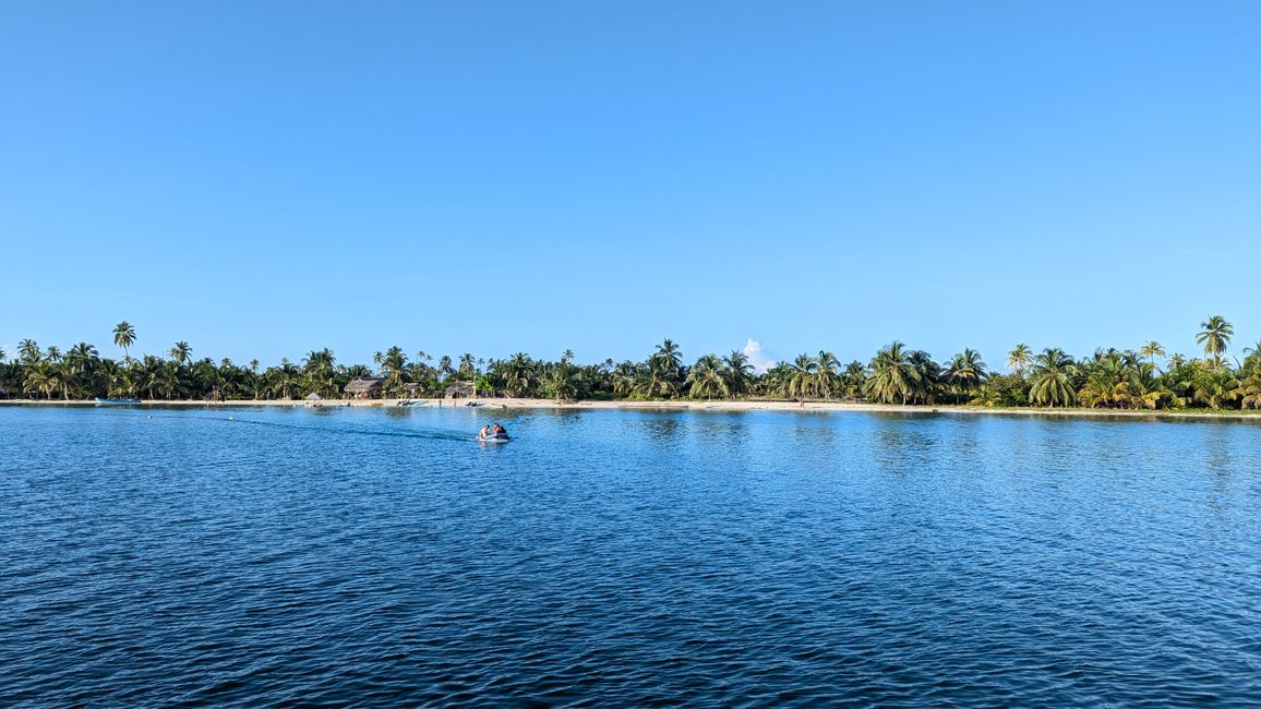 Paradise 