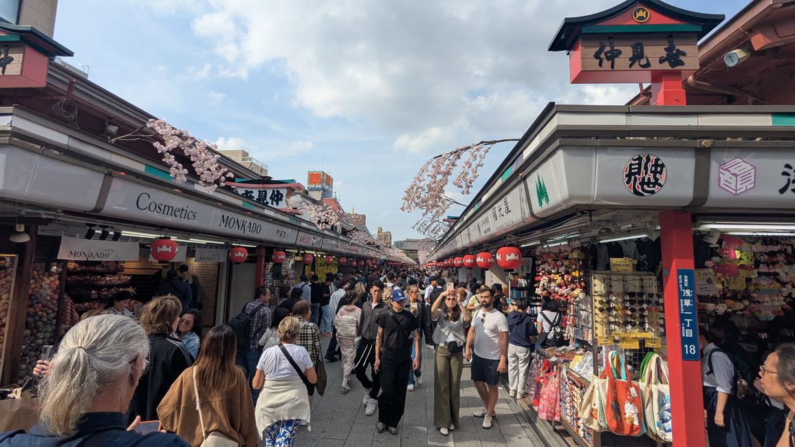 Traumhafter (anstrengender) 2. Tag in Tokyo