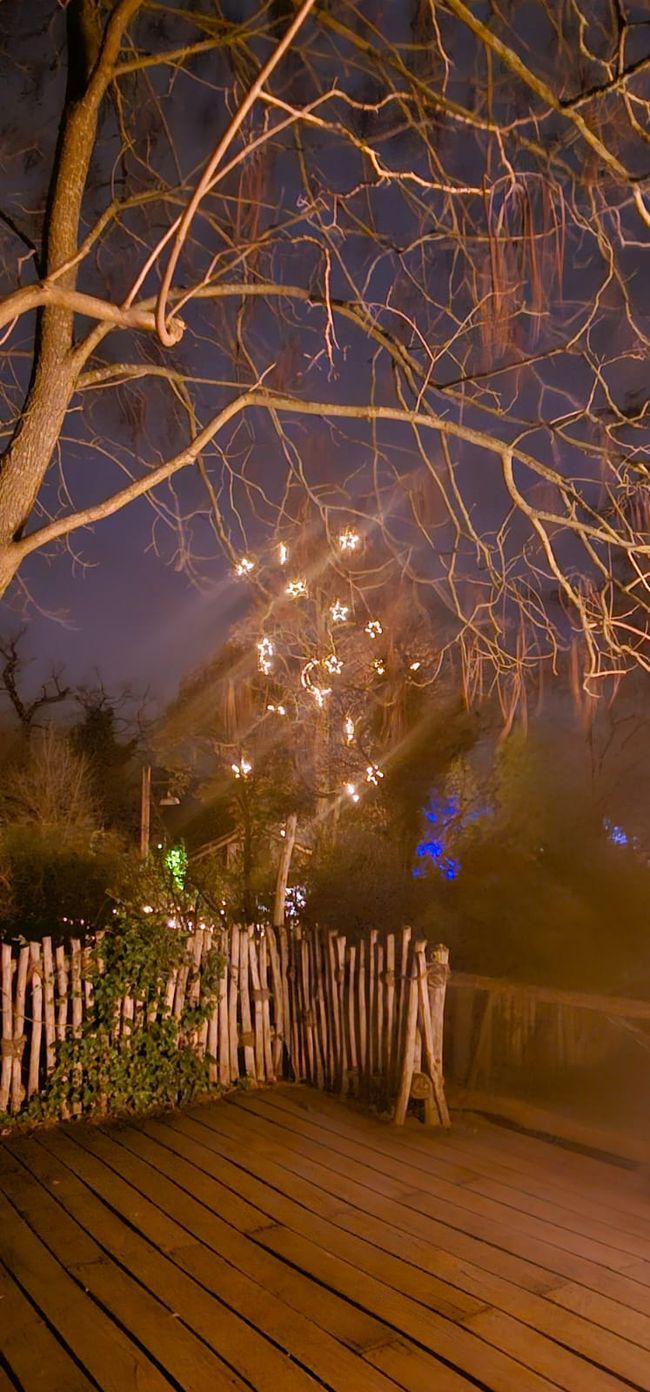 Giardino di Natale allo Zoo di Hannover