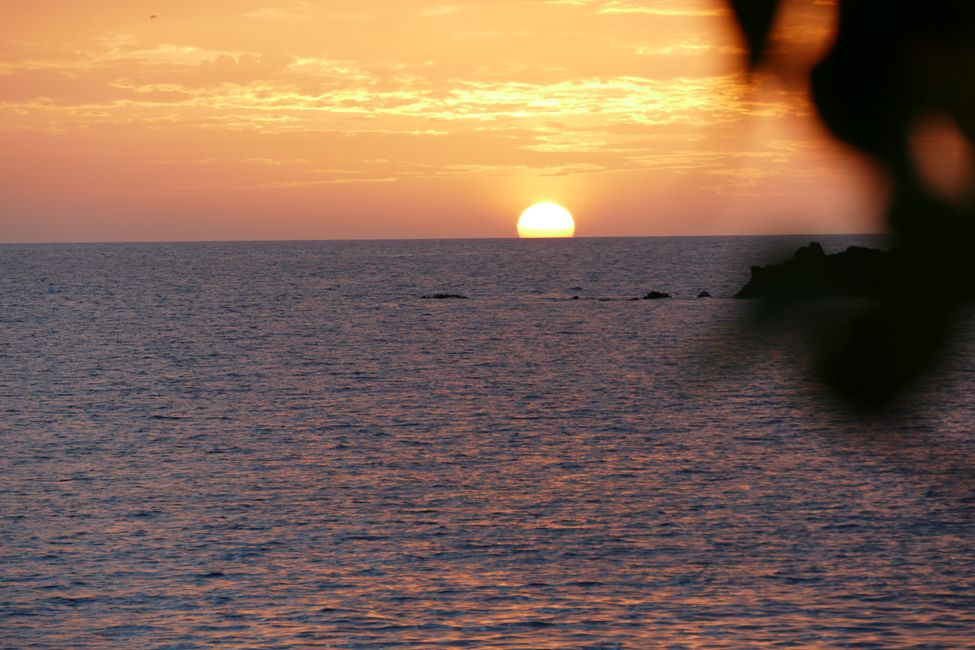 Mangrovie a Martinica e tramonto a Guadalupa