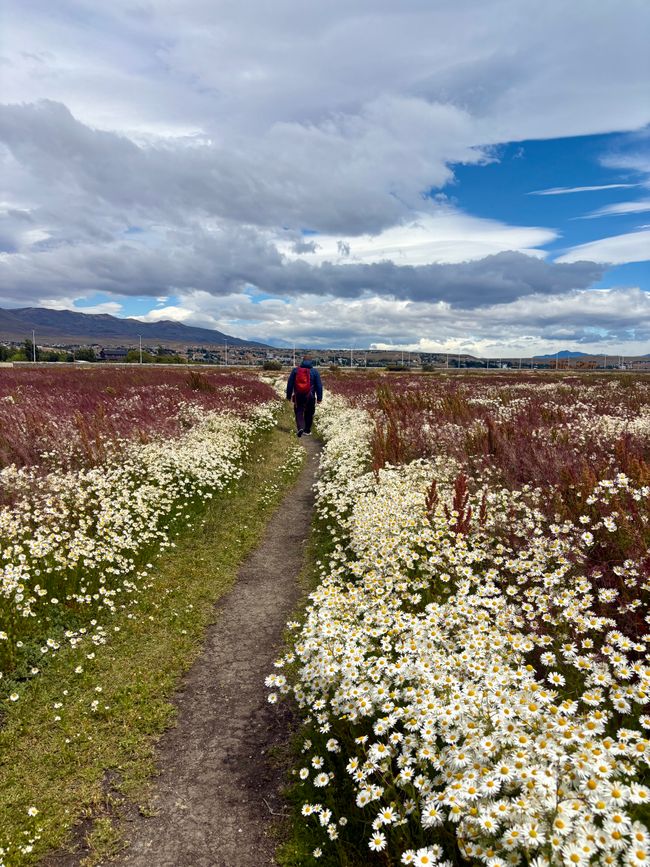 El Calafate