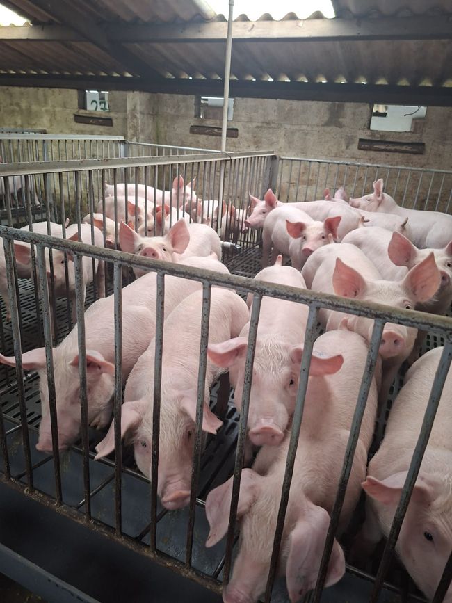 La ferme d'Esteban