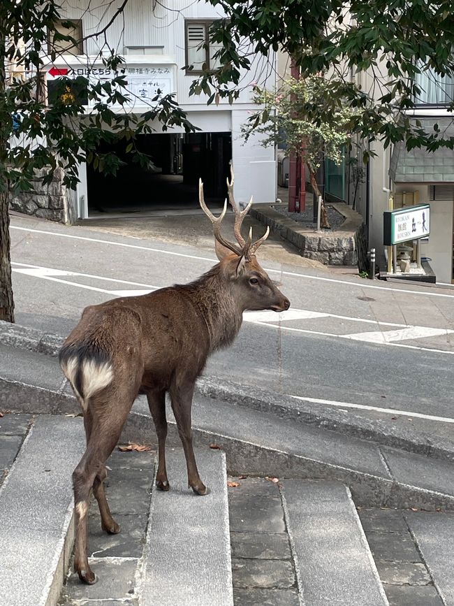 Nara