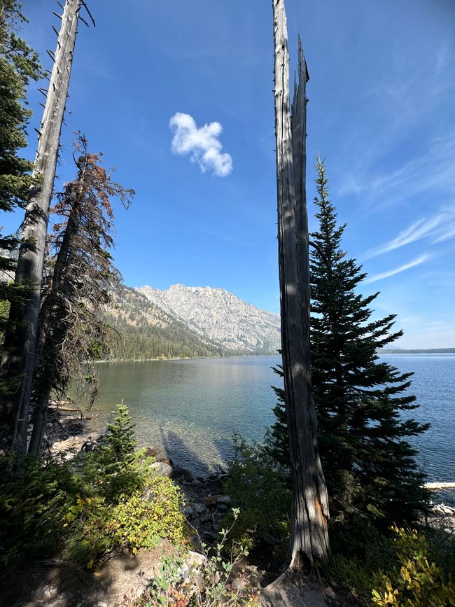 De Salt Lake City al Parque Nacional Grand Teton