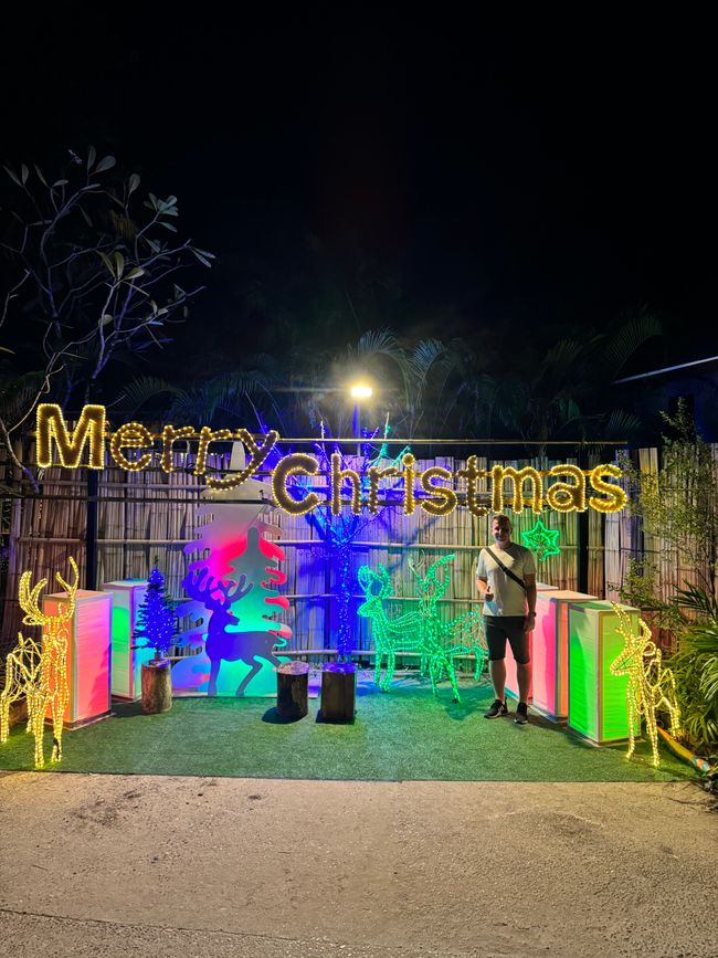Merry Christmas - Nico