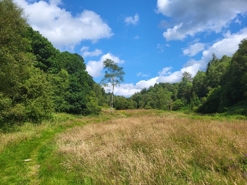 Dalby Forest