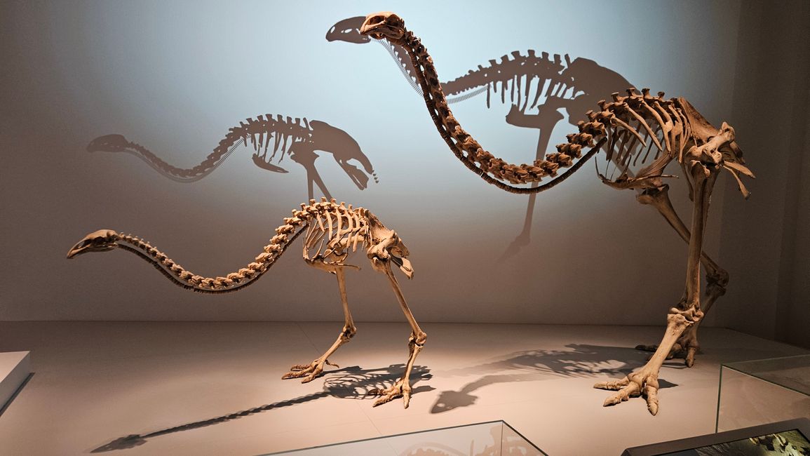 Lower Hutt - Wellington