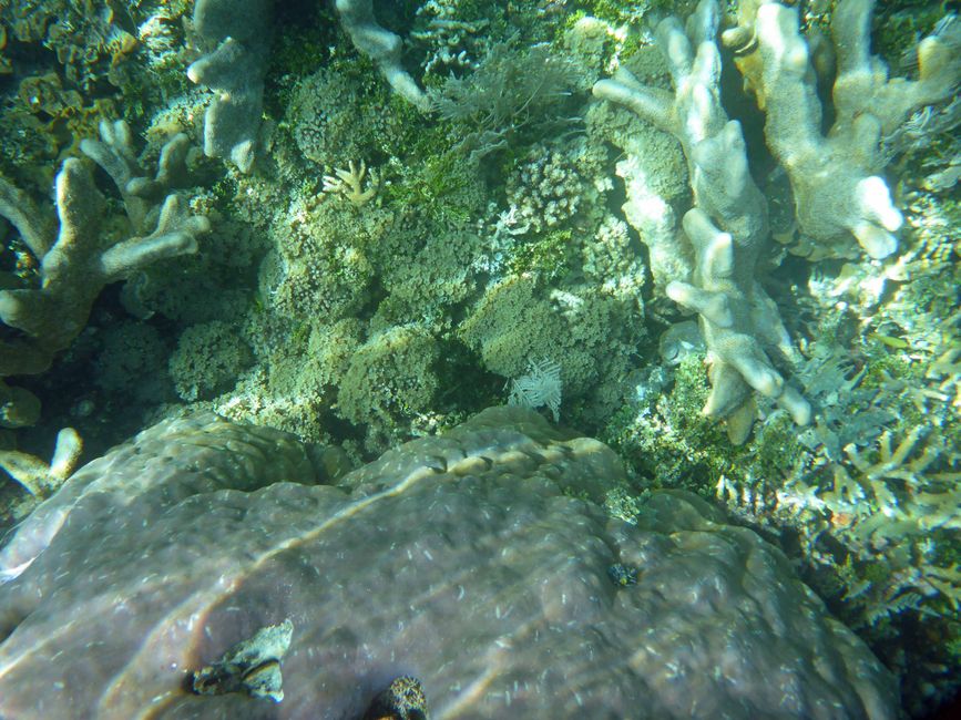 Waiag, Raja Ampat, Indonesia
