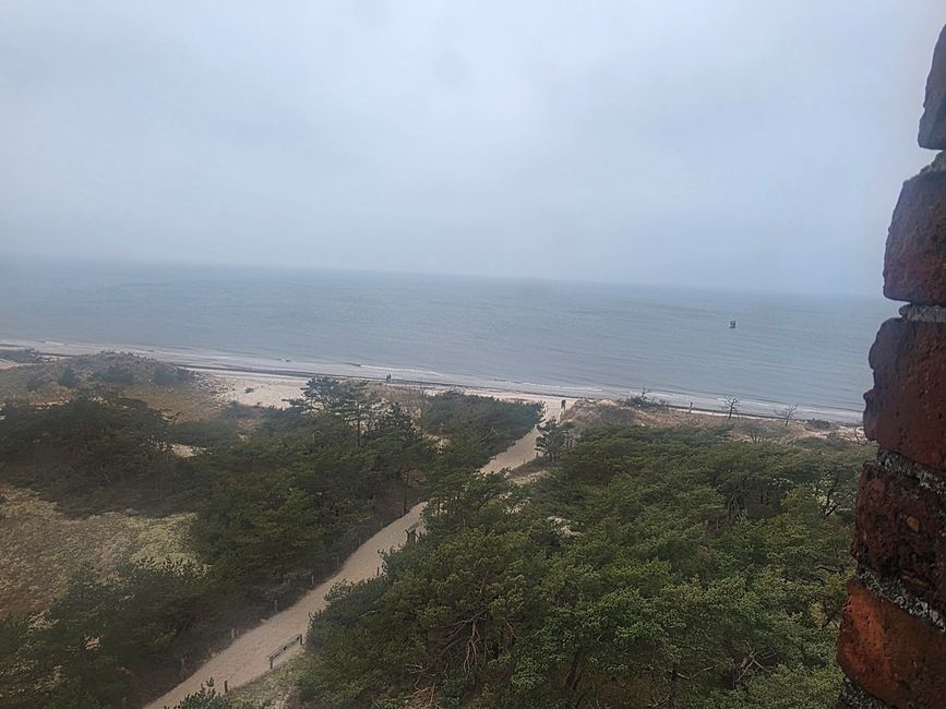 Stralsund & Darß: Meeres-Magie und die 5-km-Wander-Überraschung 🌊🐢❄️