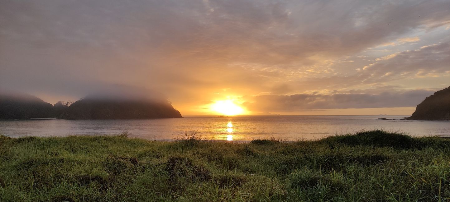 Sonnenaufgang im Whangaruru North Head Scenic Reserve