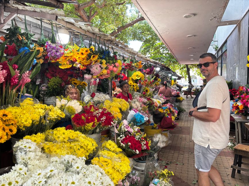 Cartagena de Indias & the End! 