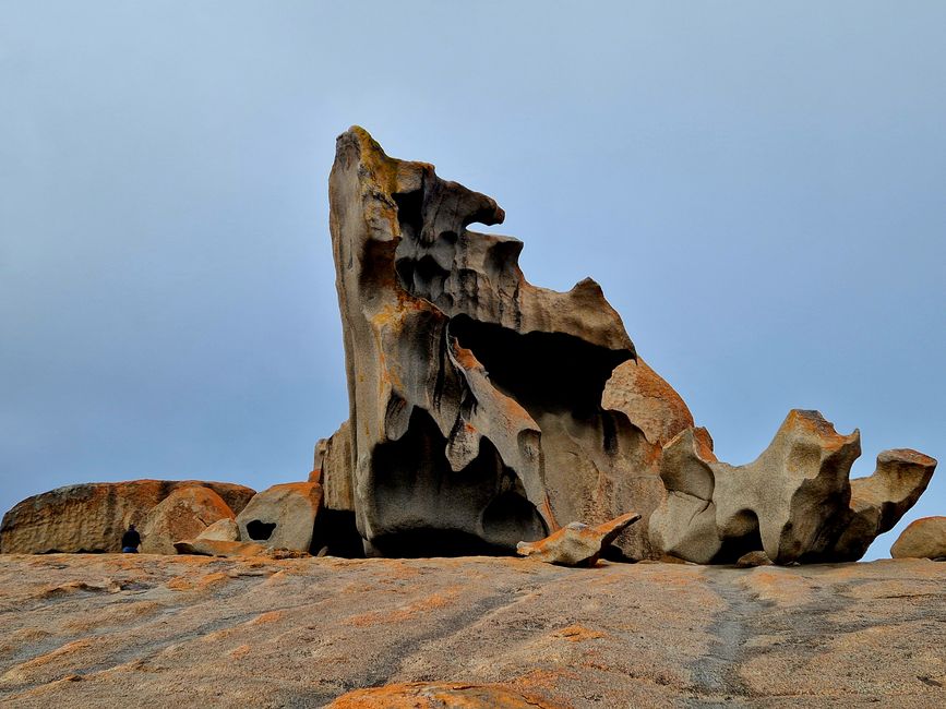 On Kangaroo Island