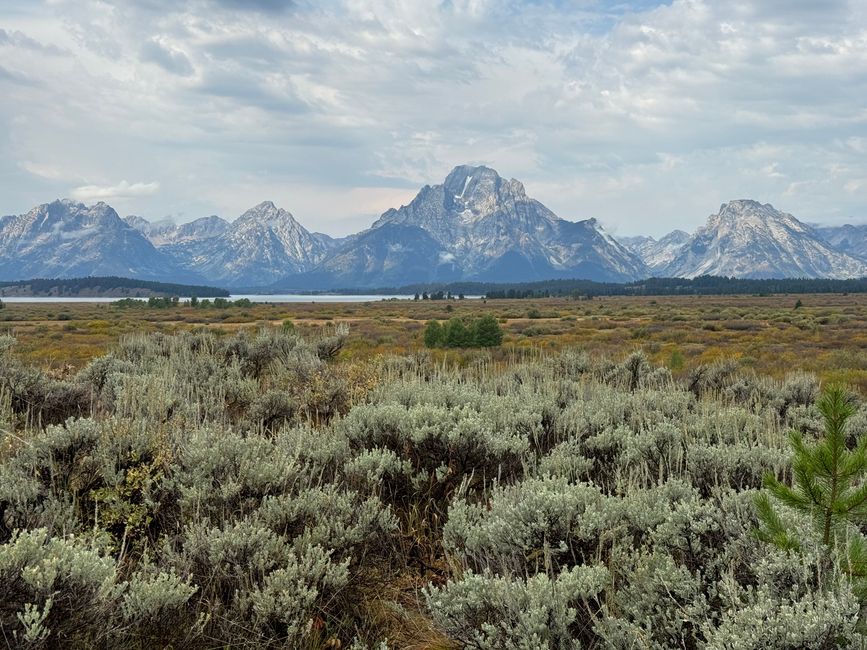 Grand Teton