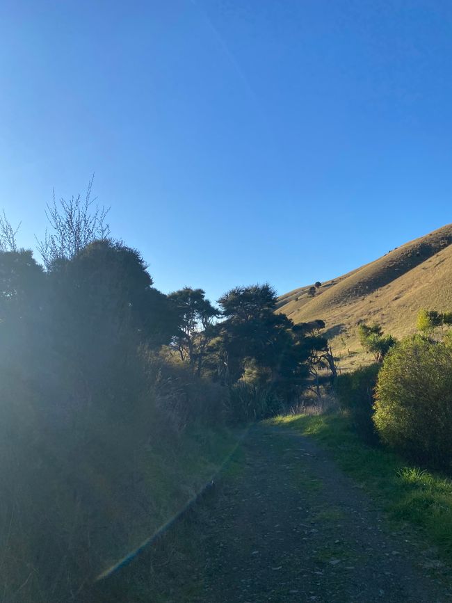Nelson, Queen Charlotte drive, Picton, Kaikoura, Blenheim