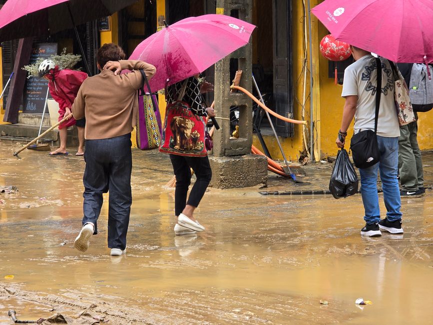 Hoi An - les travaux de nettoyage ont commencé