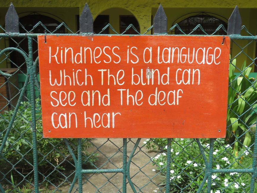 Wisdom 2