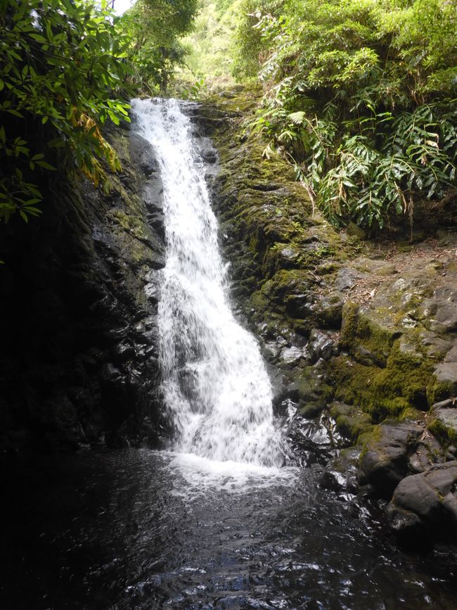 Der Wasserfall 
