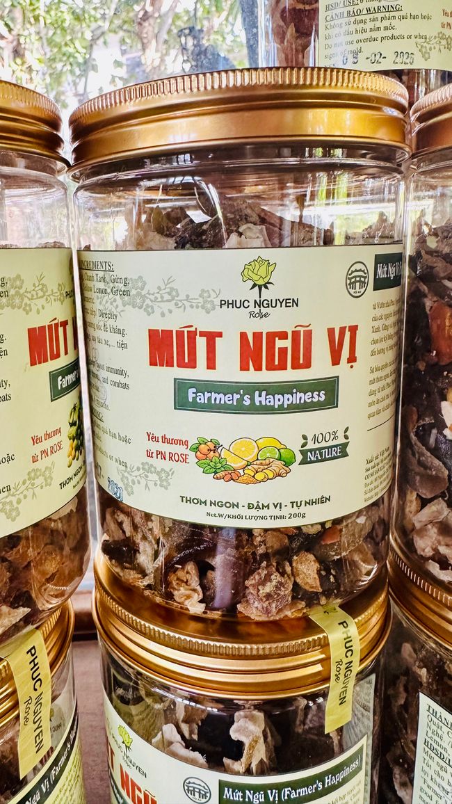 Villaggi di artigianato tradizionale intorno a Hoi An - Parte 2