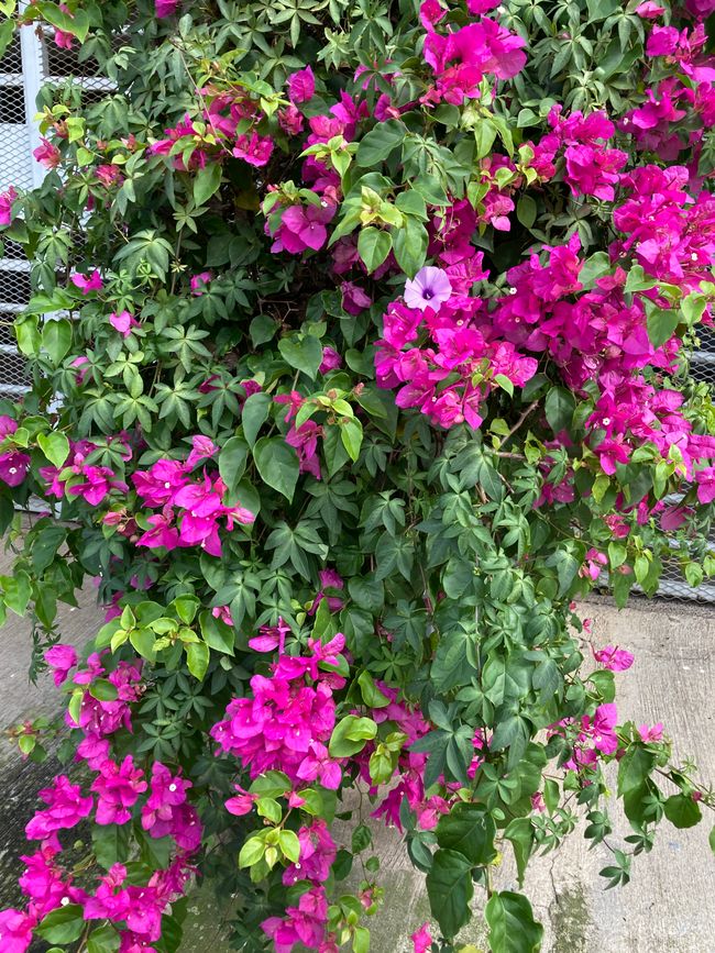 Der Radius erweitert sich langsam