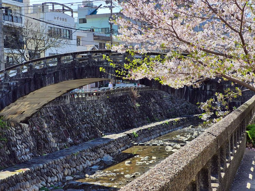 En el río Nakashima