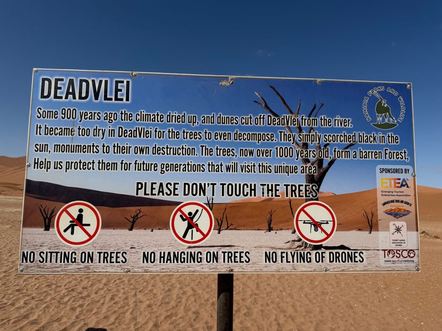 Namibia 2k25 🦓🏜️🐘