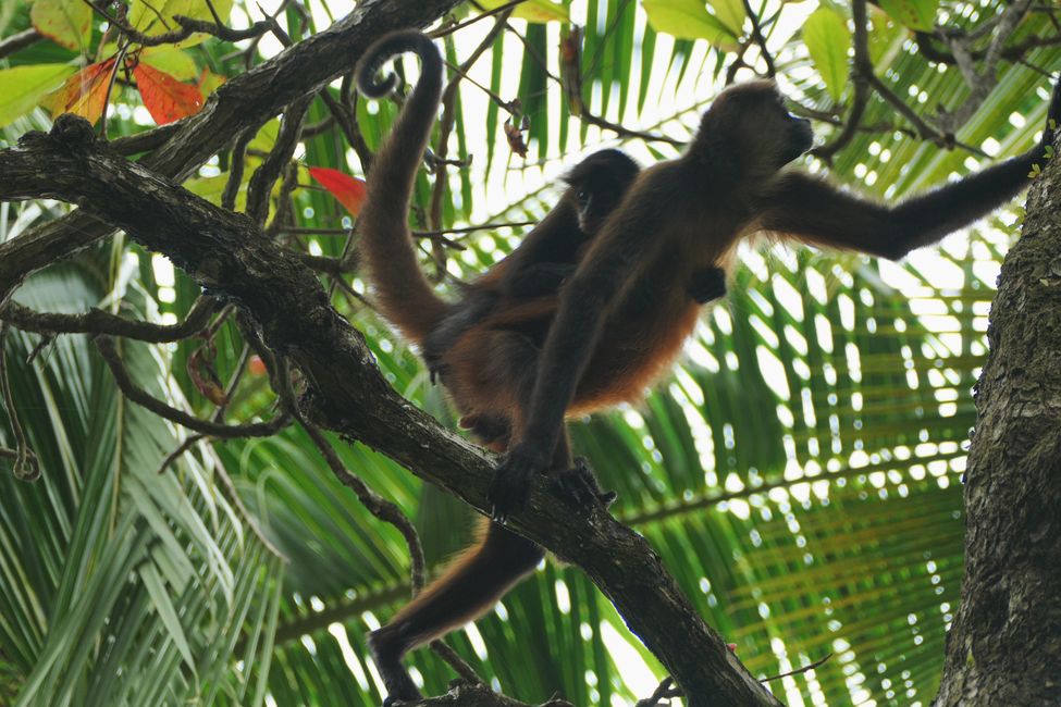 Costa Rica 2025