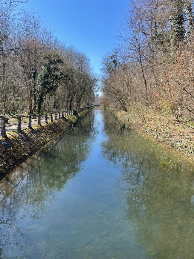 Inondation artificielle parc paysager Wiese