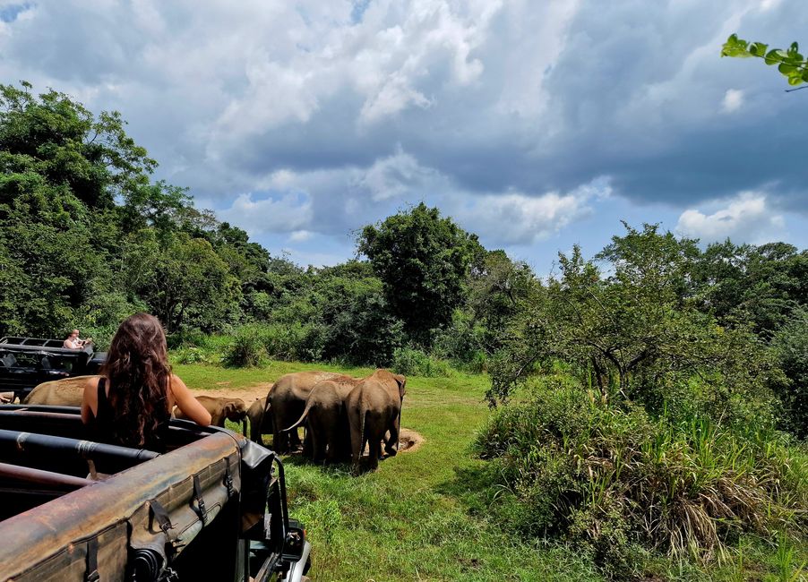 Hurulu Eco Park