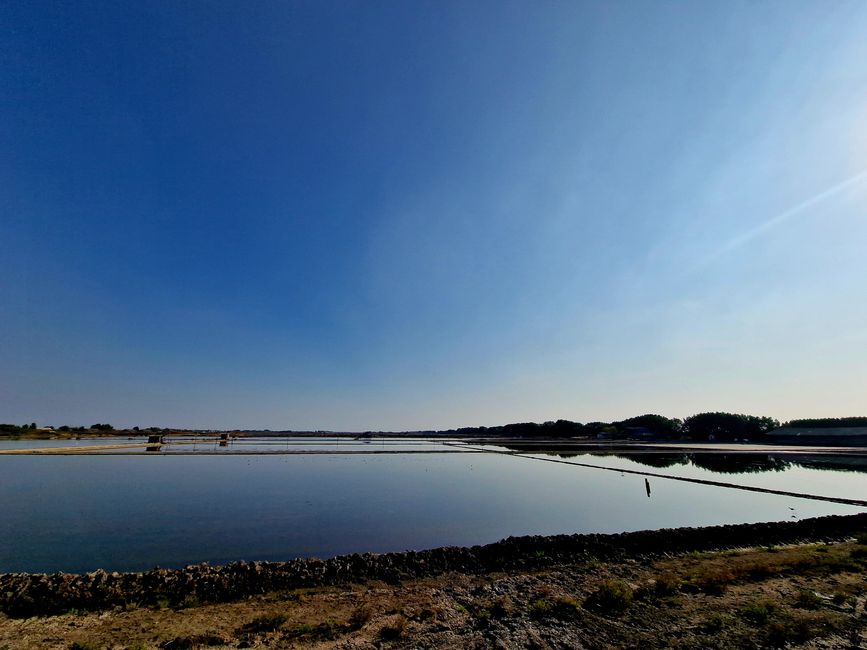 Tuut, tuut, klappt die Läden ein, der Zug kommt 🚂 ...