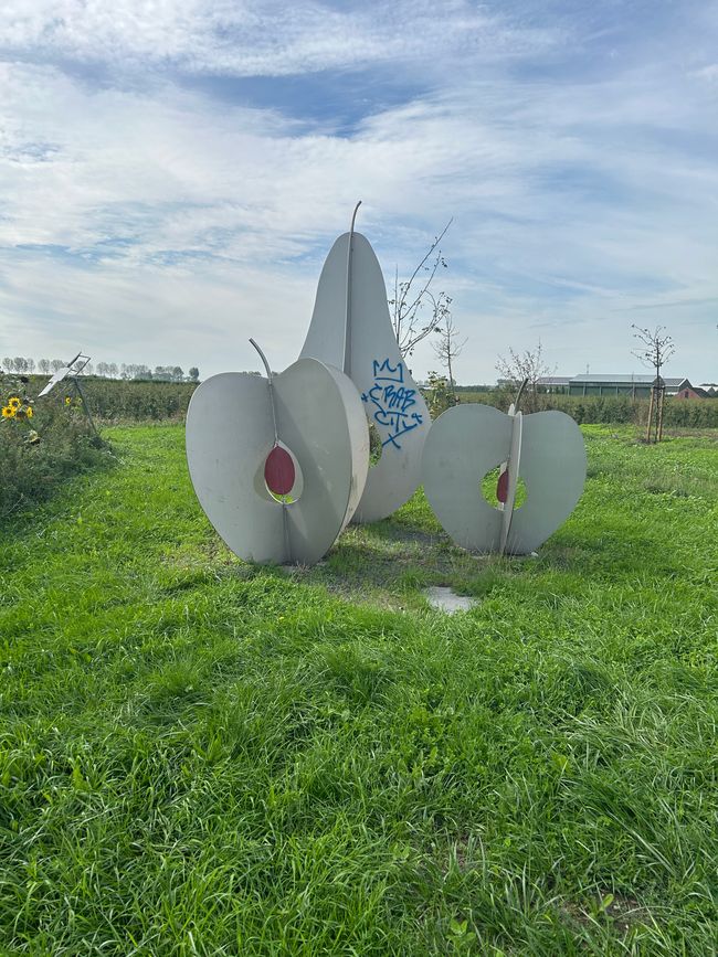 Tag 7: Middelburg- Schoten Teil 2