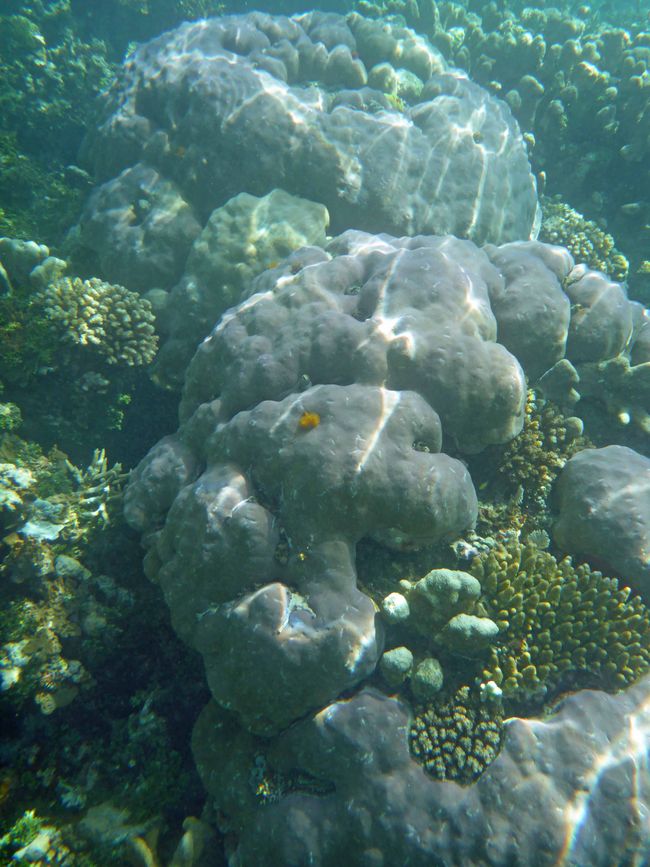Waiag, Raja Ampat, Indonesia