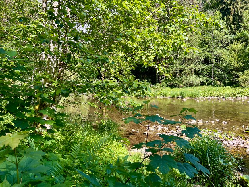 28 Wutachschlucht Pro Wolermoos