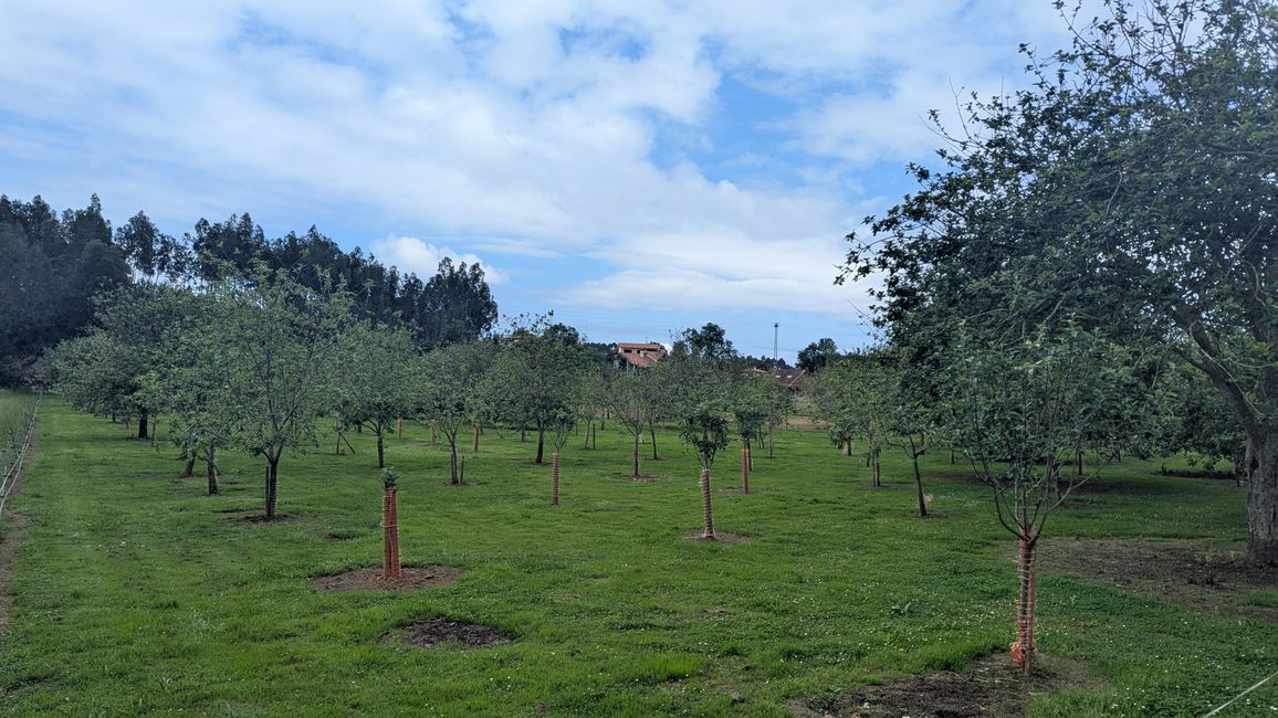 13. Stage Camino del Norte from Barro to Camango
