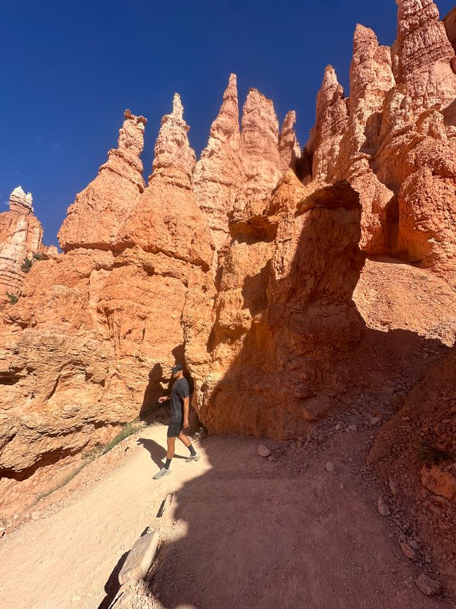 Canyon Land:Zion and  Bryce Canyon❤️