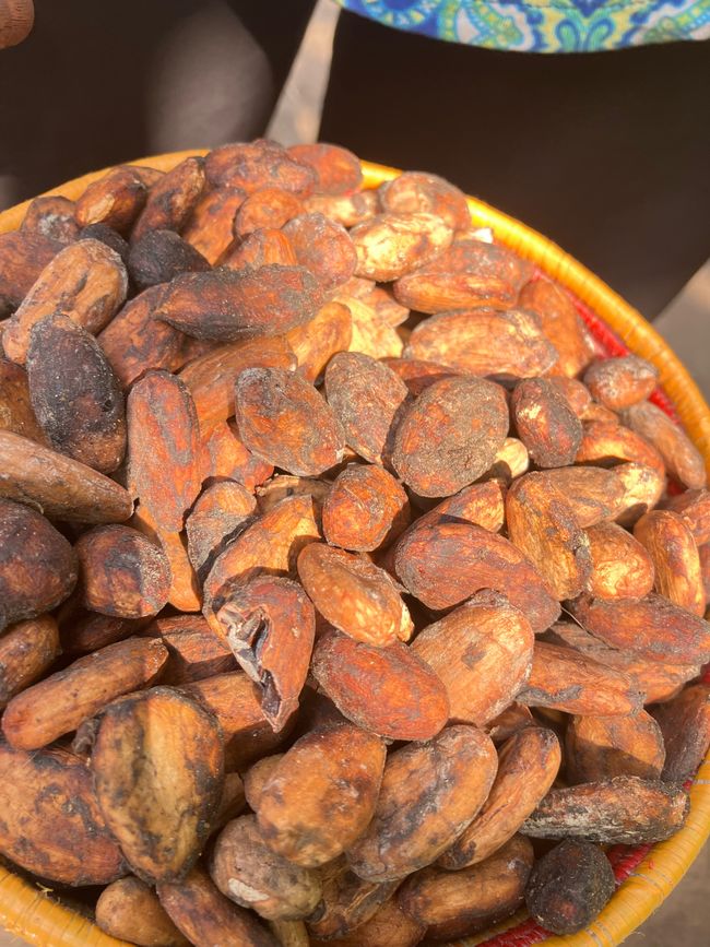 Schimpansen im Kalinzu Forest und Twin Lakes