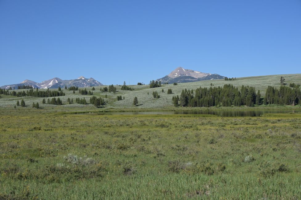 Im nördlichen Yellowstone NP