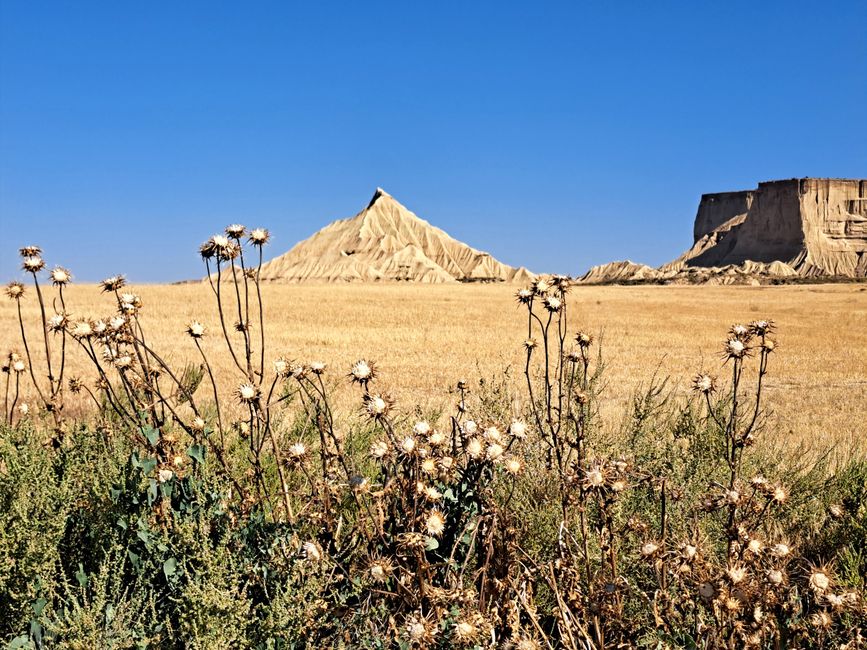 Bardenas Reales