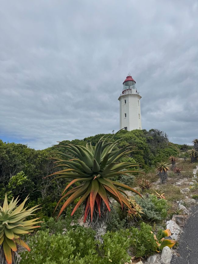 Gansbaai